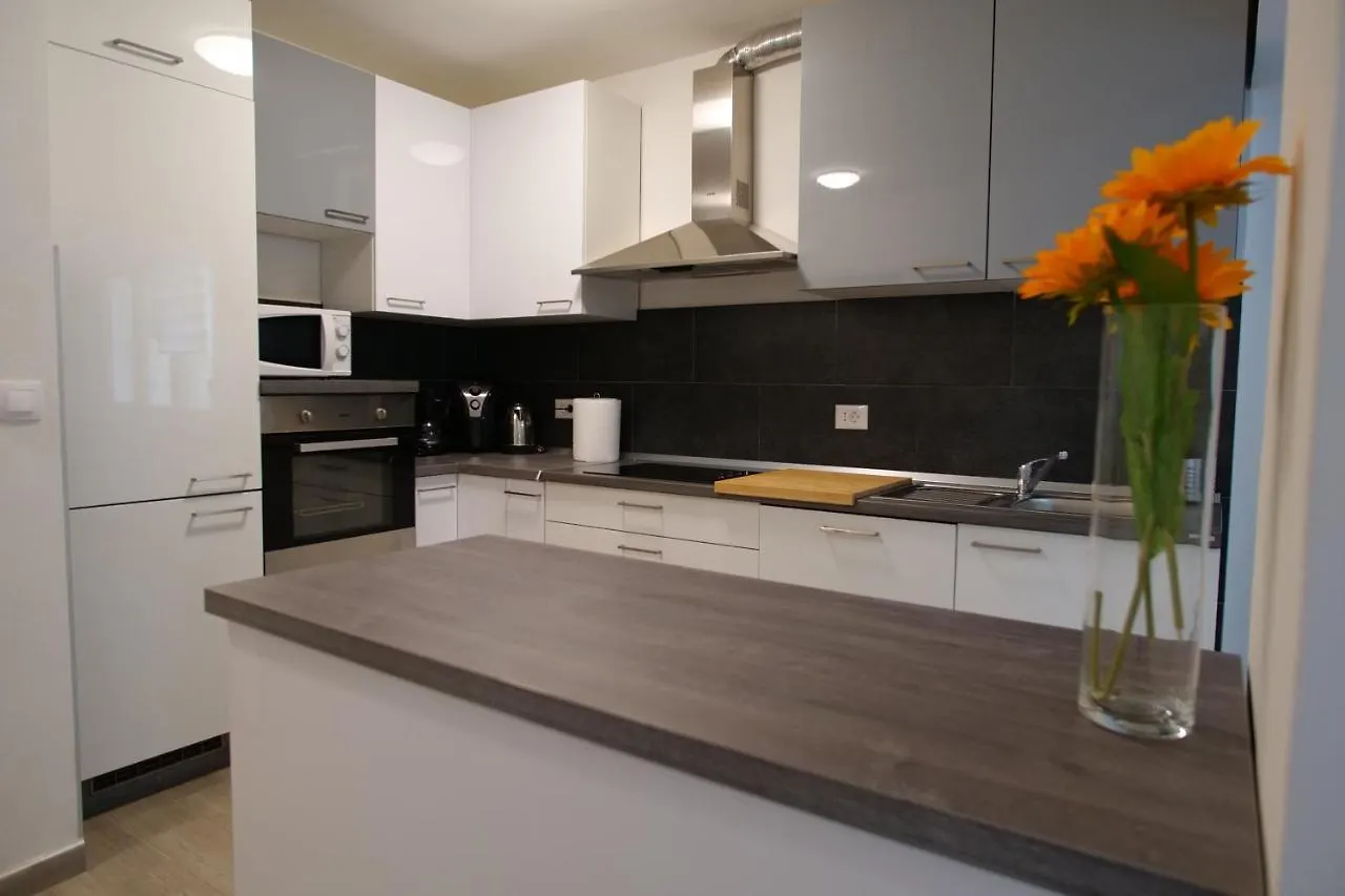 Arena Apartment With 3 Bedrooms In The City Center PUY